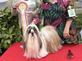 Association Canine Territoriale de Bourgogne