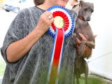 Association Canine Territoriale de Bourgogne