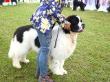 Association Canine Territoriale de Bourgogne
