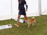 Association Canine Territoriale de Bourgogne