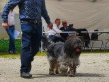 Association Canine Territoriale de Bourgogne