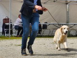 Association Canine Territoriale de Bourgogne