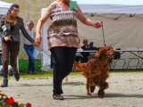 Association Canine Territoriale de Bourgogne