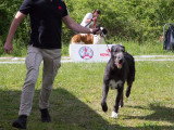 Société Canine Régionale de l’Île-de-France (SCIF)
