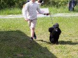 Société Canine Régionale de l’Île-de-France (SCIF)