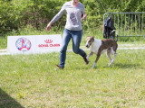 Société Canine Régionale de l’Île-de-France (SCIF)