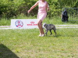 Société Canine Régionale de l’Île-de-France (SCIF)
