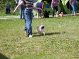 Société Canine Régionale de l’Île-de-France (SCIF)
