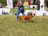 Société Canine Régionale de l’Île-de-France (SCIF)