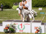 Société Canine Régionale de l’Île-de-France (SCIF)