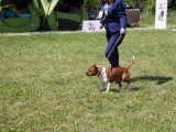 Société Canine Régionale de l’Île-de-France (SCIF)