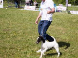 Société Canine Régionale de l’Île-de-France (SCIF)