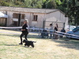 Association Canine Territoriale Corse