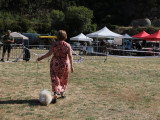 Association Canine Territoriale Corse