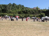 Association Canine Territoriale Corse
