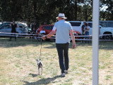 Association Canine Territoriale Corse