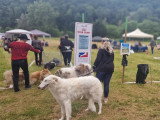 Association Canine de la Dordogne