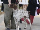 Association Canine Territoriale Gironde