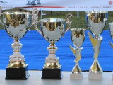 Association Canine Territoriale de Guadeloupe (ACTG)