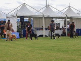 Association Canine Territoriale de la Réunion (ACTR)