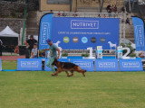 Association Canine Territoriale de la Réunion (ACTR)