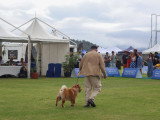 Association Canine Territoriale de la Réunion (ACTR)