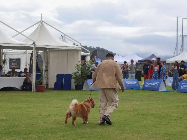 Association Canine Territoriale de la Réunion (ACTR)
