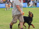 Association Canine Territoriale de la Réunion (ACTR)