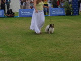Association Canine Territoriale de la Réunion (ACTR)