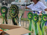 Association Canine Territoriale de la Réunion (ACTR)
