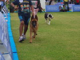 Association Canine Territoriale de la Réunion (ACTR)