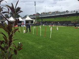 Association Canine Territoriale de la Réunion (ACTR)