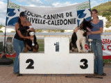 Societe Canine Regionale de Nouvelle Caledonie