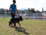 Societe Canine Regionale de Nouvelle Caledonie