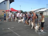 Societe Canine Regionale de Nouvelle Caledonie