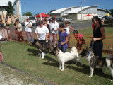Societe Canine Regionale de Nouvelle Caledonie