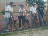 Societe Canine Regionale de Nouvelle Caledonie