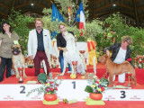 Societe Canine Regionale Midi Cote Dazur