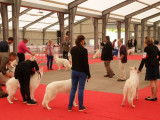 Societe Canine Regionale Midi Cote Dazur