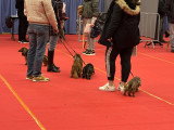 Association Canine Territoriale Rhône-Alpes