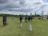 Club Cynophile Clicker Training du Marsan