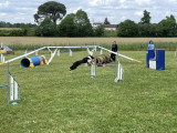 Club Cynophile Clicker Training du Marsan