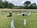 Club Cynophile Clicker Training du Marsan