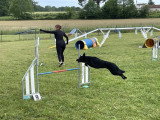 Club Cynophile Clicker Training du Marsan