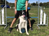 Club Cynophile Clicker Training du Marsan