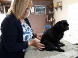 L'Art Canin