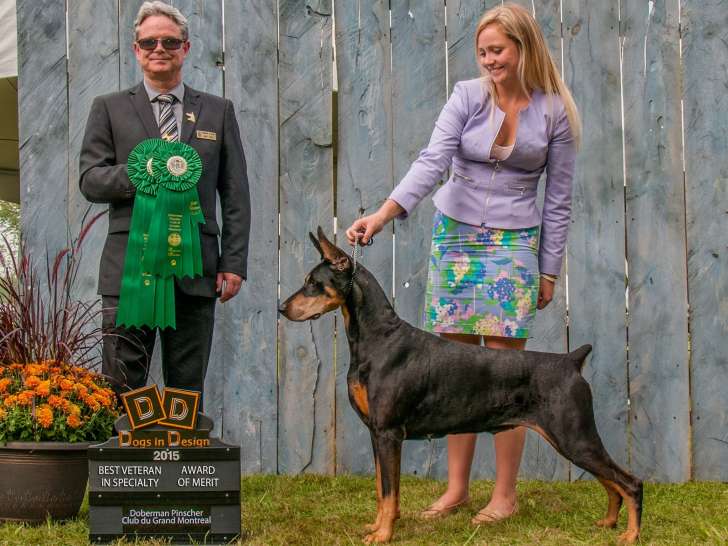 Club du Doberman Pinscher du Grand Montréal