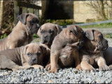 Des dunes des sages