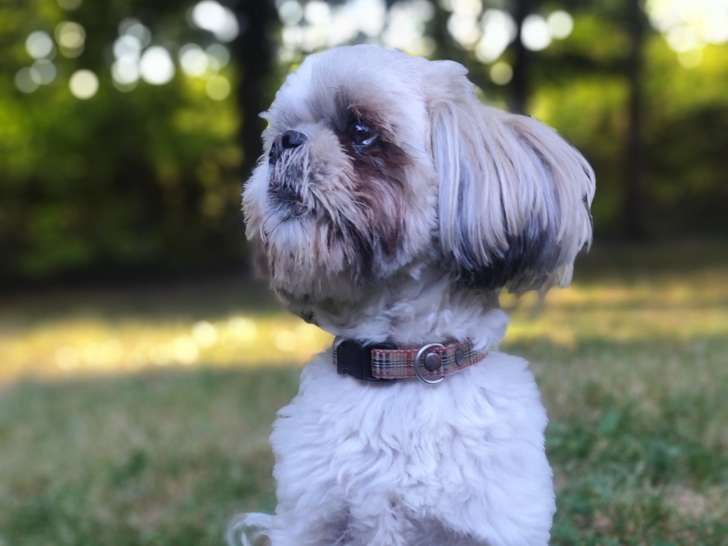 Le Jardin de Behemiel