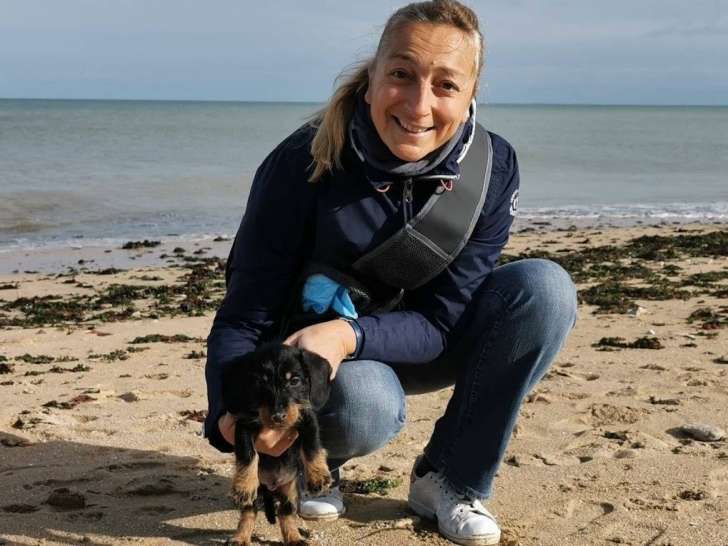 Côté Chiens